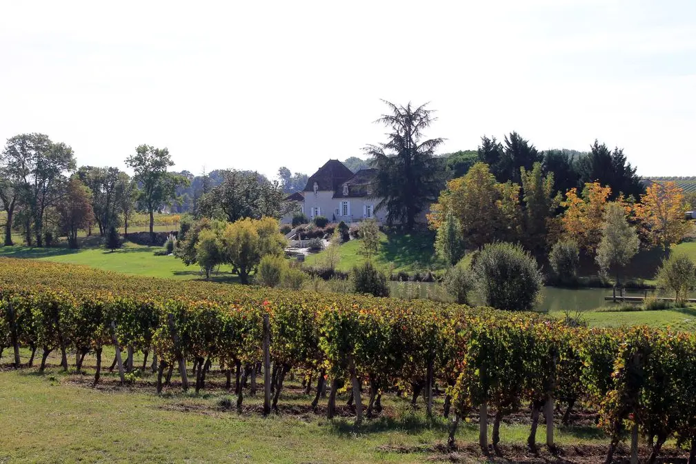 Autour de Monbazillac_Domaine de Grange Neuve (37)_2