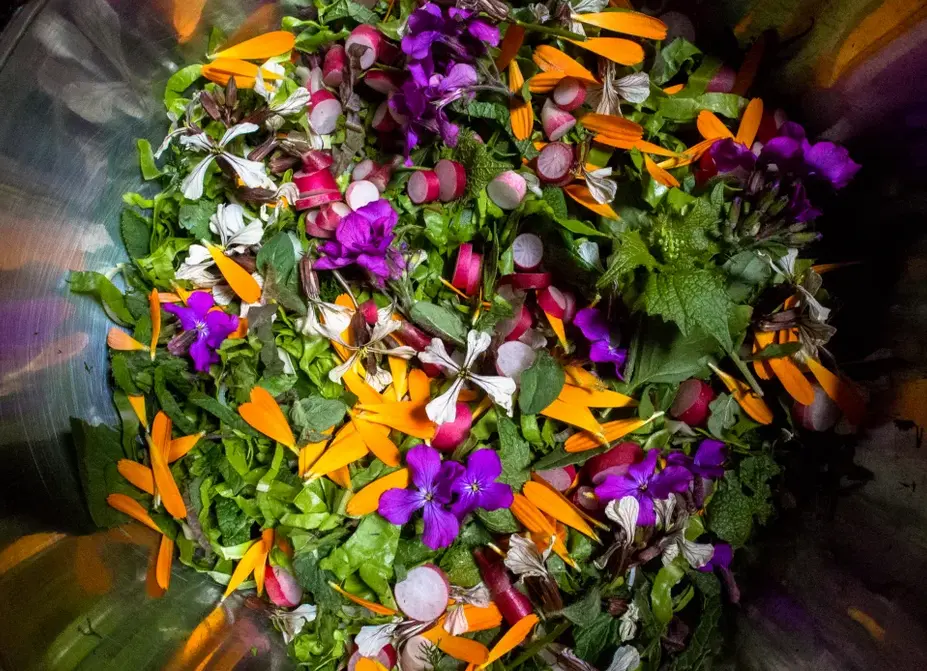 Balade salade 1
