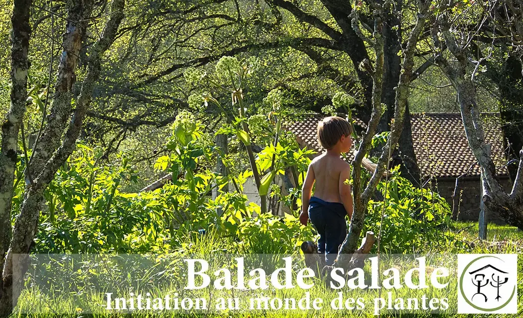 Balade salade