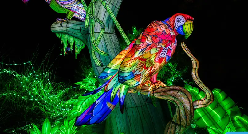 Capture d’écran 2025-03-05 020832