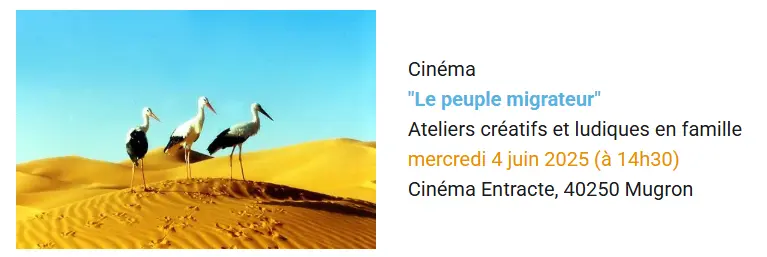 Ciné ateliers 4 JUIN
