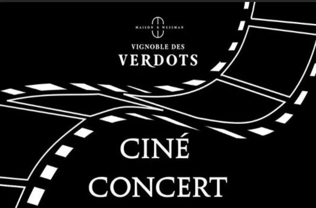 Cine concert Les Verdots-fotor-20260121103520