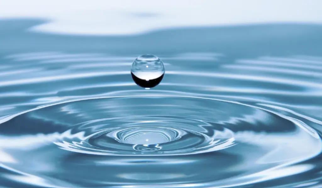 Conférence sur l'eau