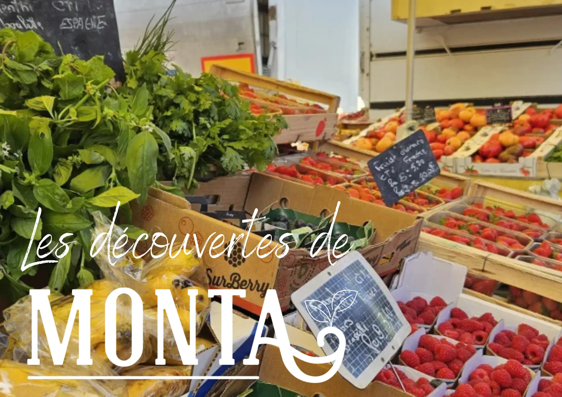 Copie de Sans titre - 1