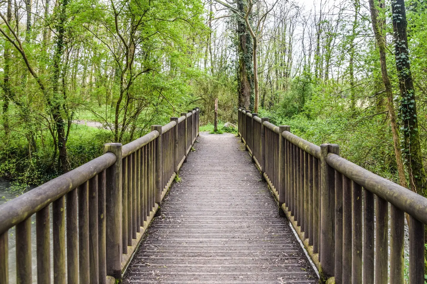 Lescar, cité nature - Lac des carolins