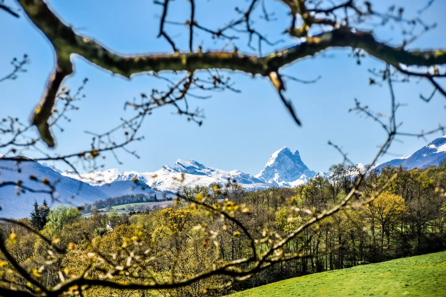 Gan - Côteau de Bastarrous - Le Pic du midi d'Ossau
