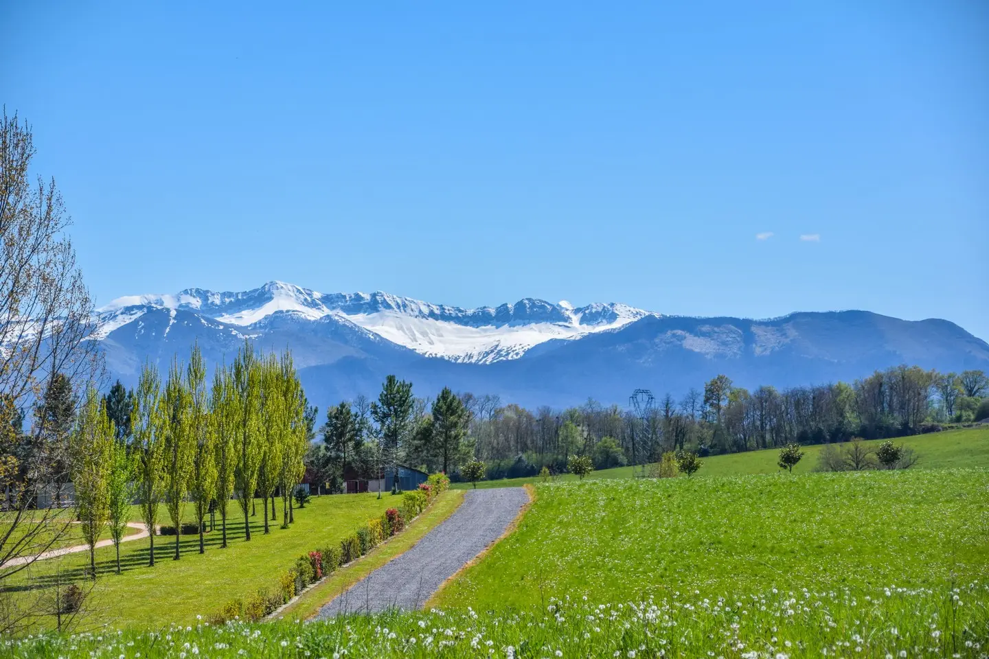 Tolou Acot - Vue Pyrénées