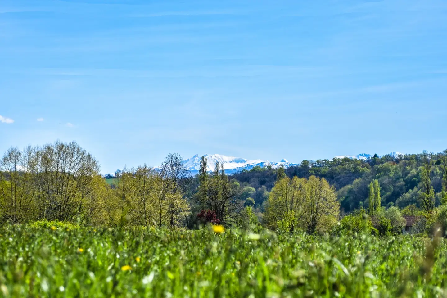 Vue Pyrenées