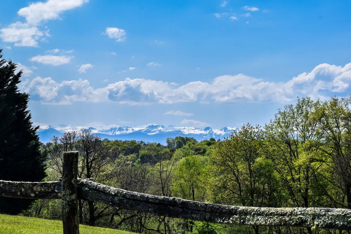Vue Pyrénées