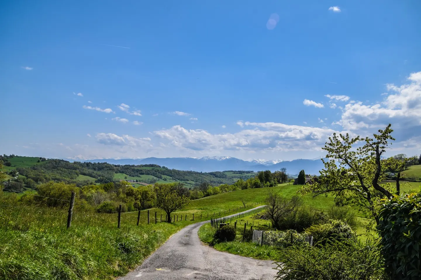 Vue Pyrénées