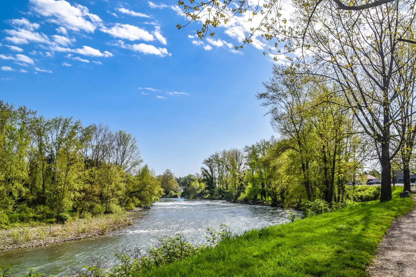 Billère - rives du gave - Berges du Gave