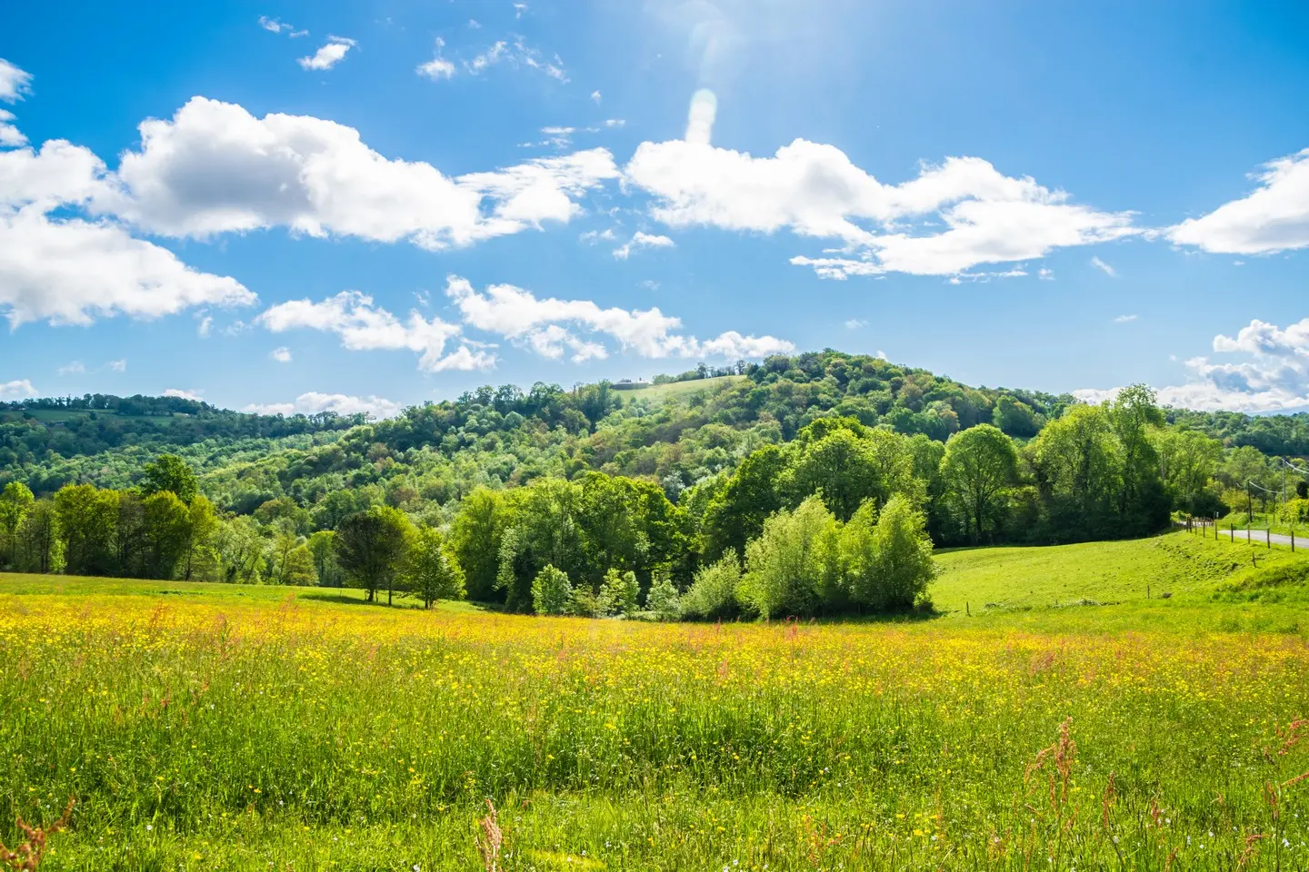 Collines Bosdarros