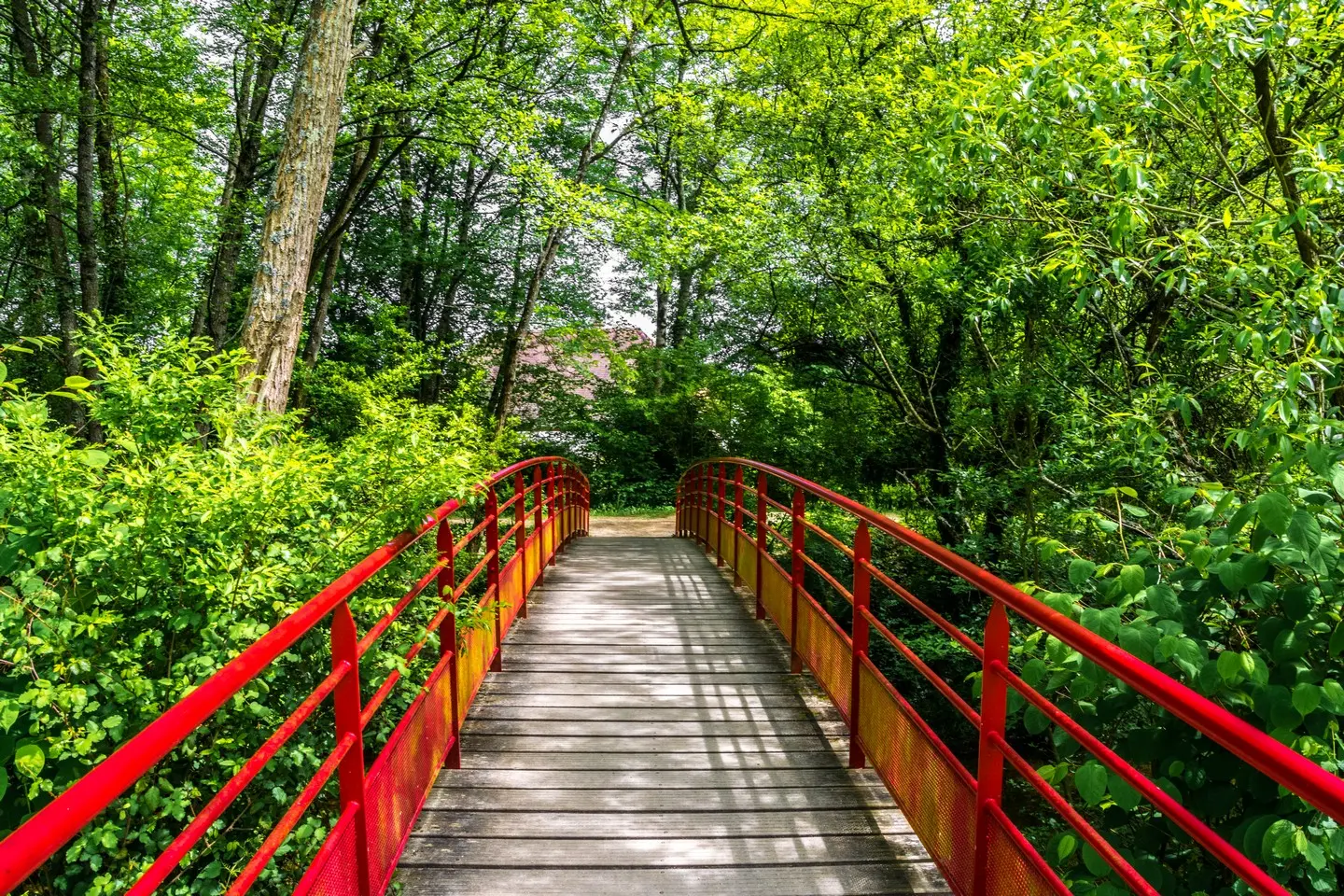 Lons - Lanot - Passerelle