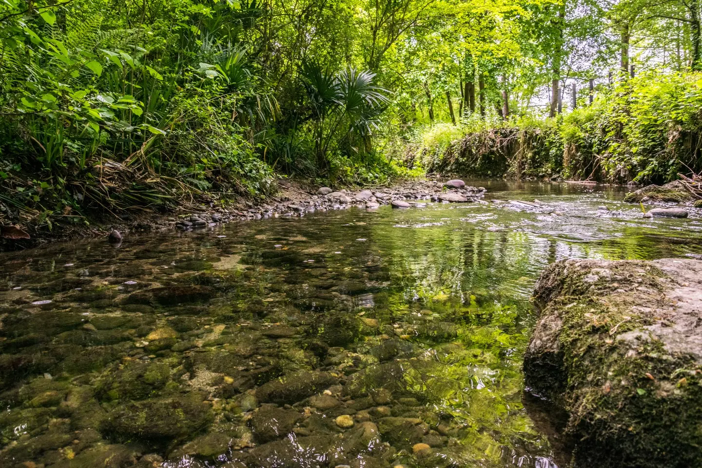 Lons - Lanot - Ruisseau