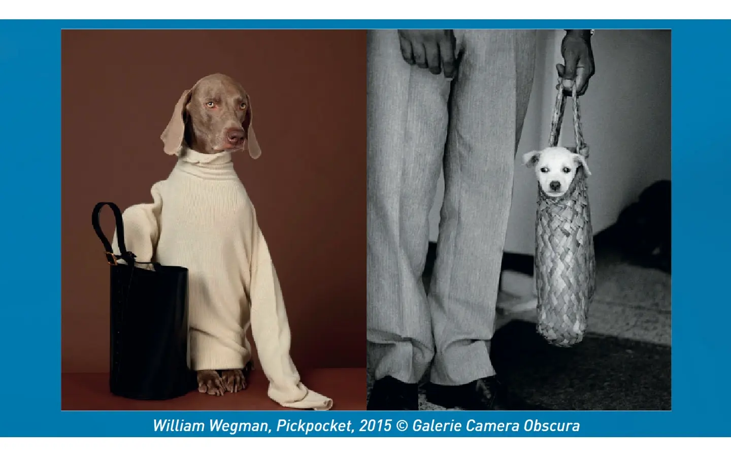 Des chiens et des hommes
