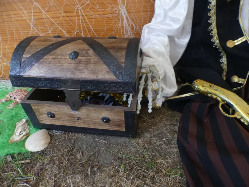 Activité Terres d'Oiseaux - Grand jeu d'halloween - 800x600