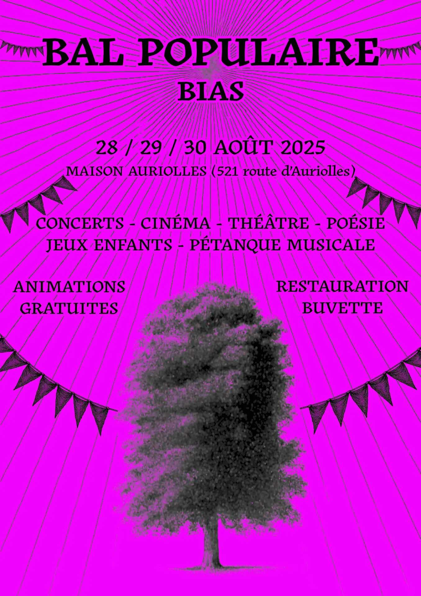 Du-28-au-30-08-2025-Bal Populaire_Bias