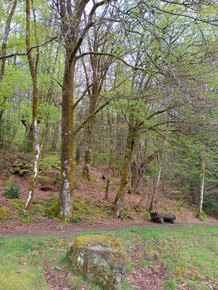 Chemin
