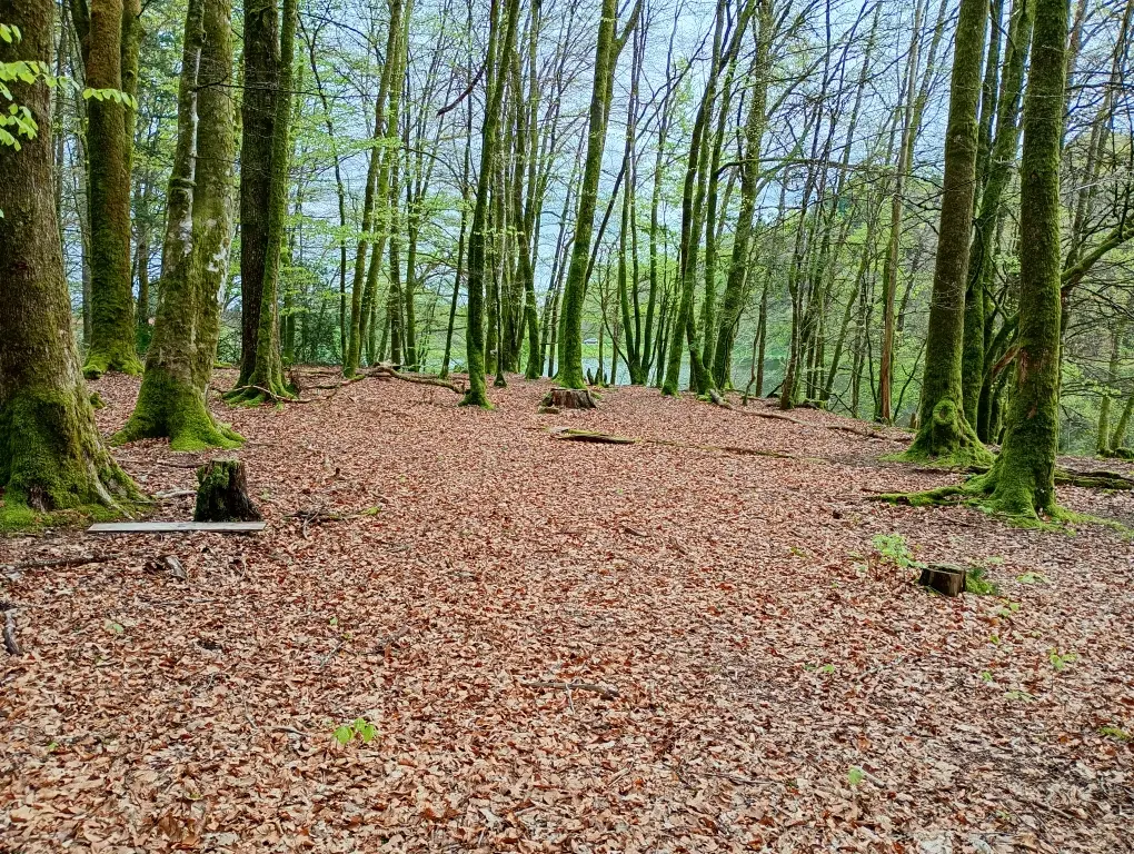 Pause au coeur de la Nature