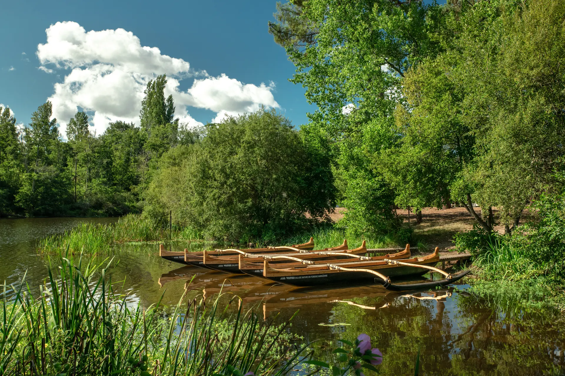 Au cœur de la nature