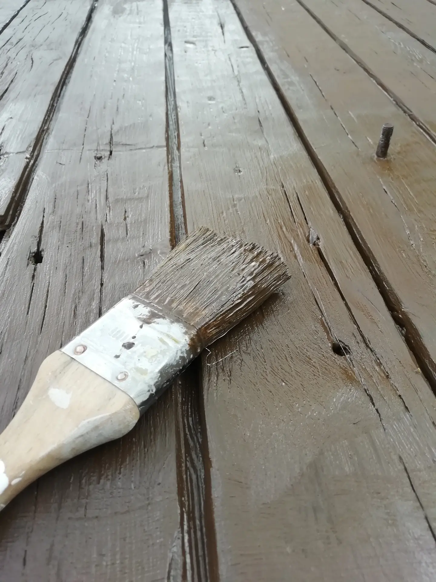 Peinture végétale