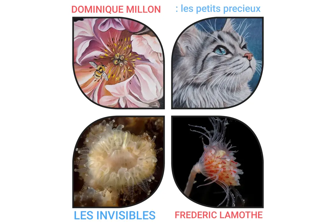 Exposition de Dominique Million et Frederic Lamothe