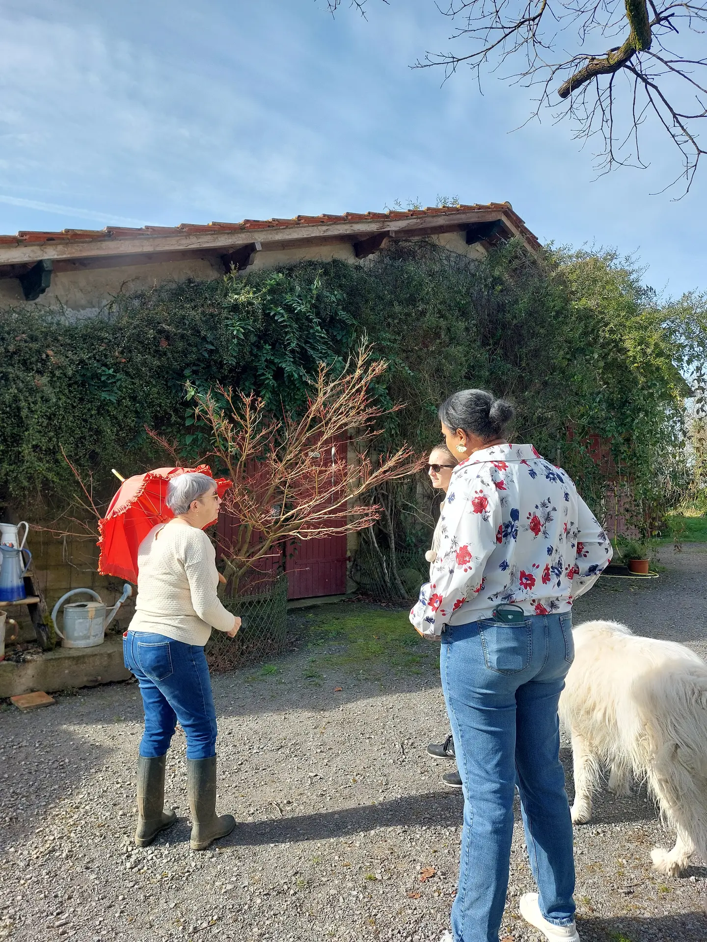 Jardin de Termi (4)