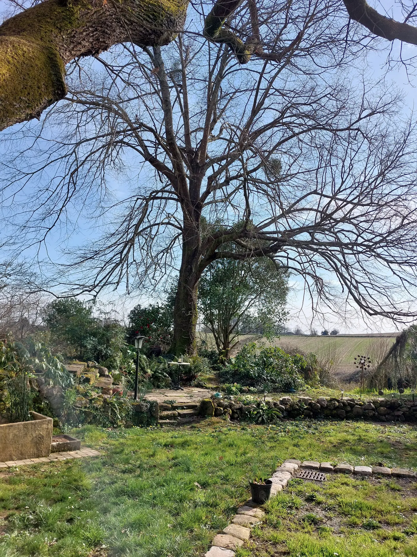 Jardin de Termi (5)