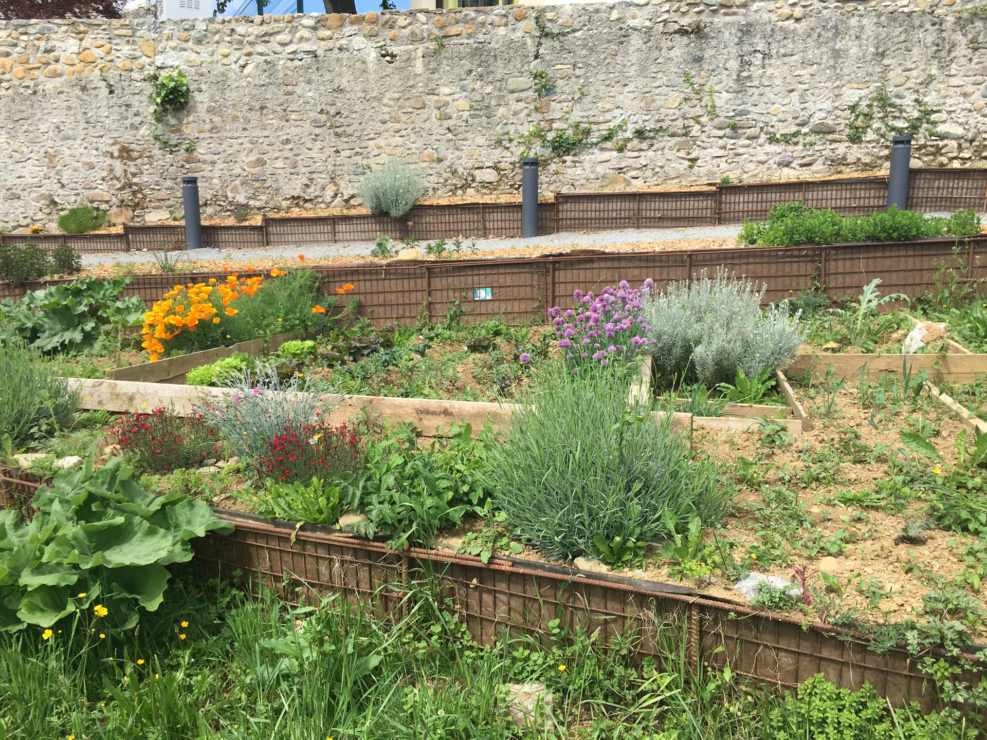 Jardins d'Abère - Asson
