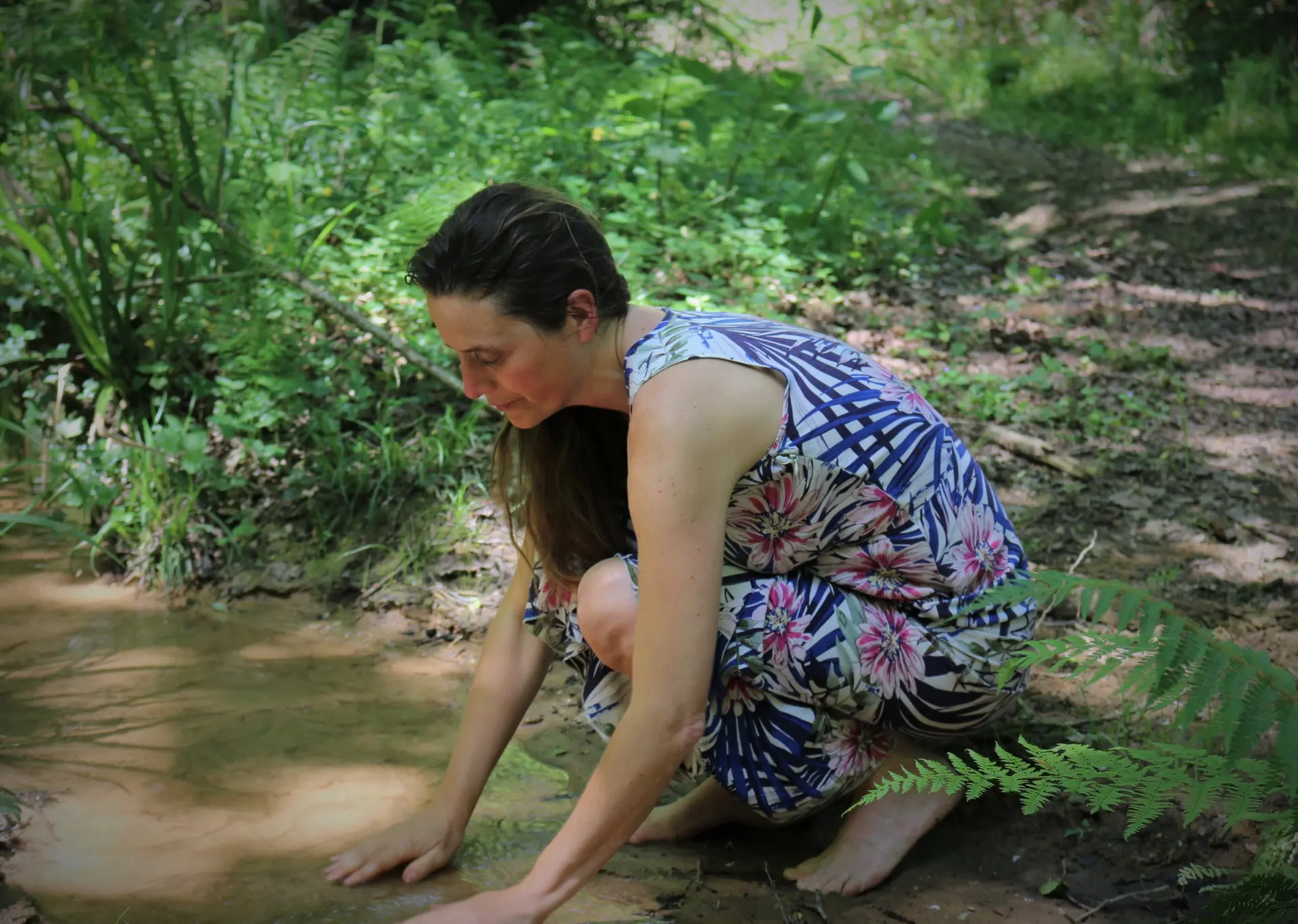 Julie Morel - bain de forêt