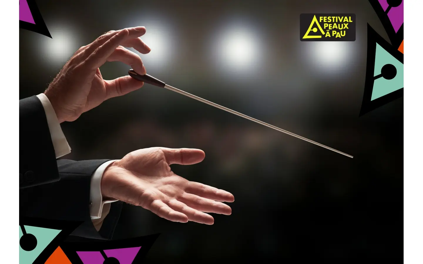 L-ensemble-Pyrenea-Camerata-