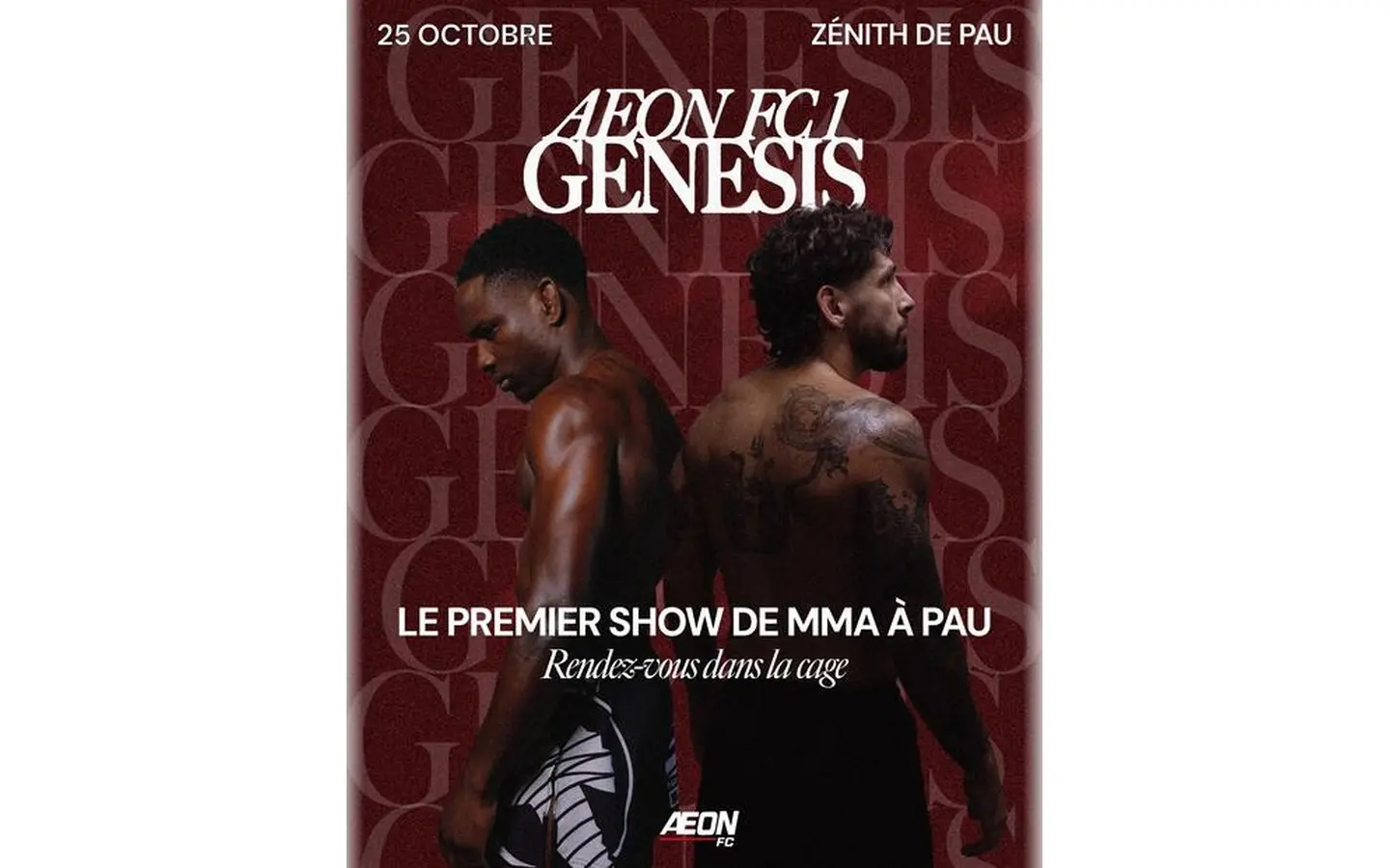 Affiche AEON