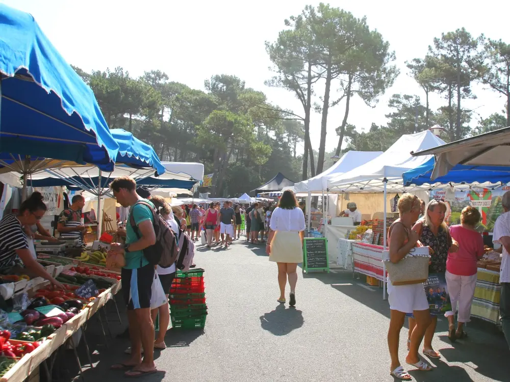 Marché saisonnier Seignosse