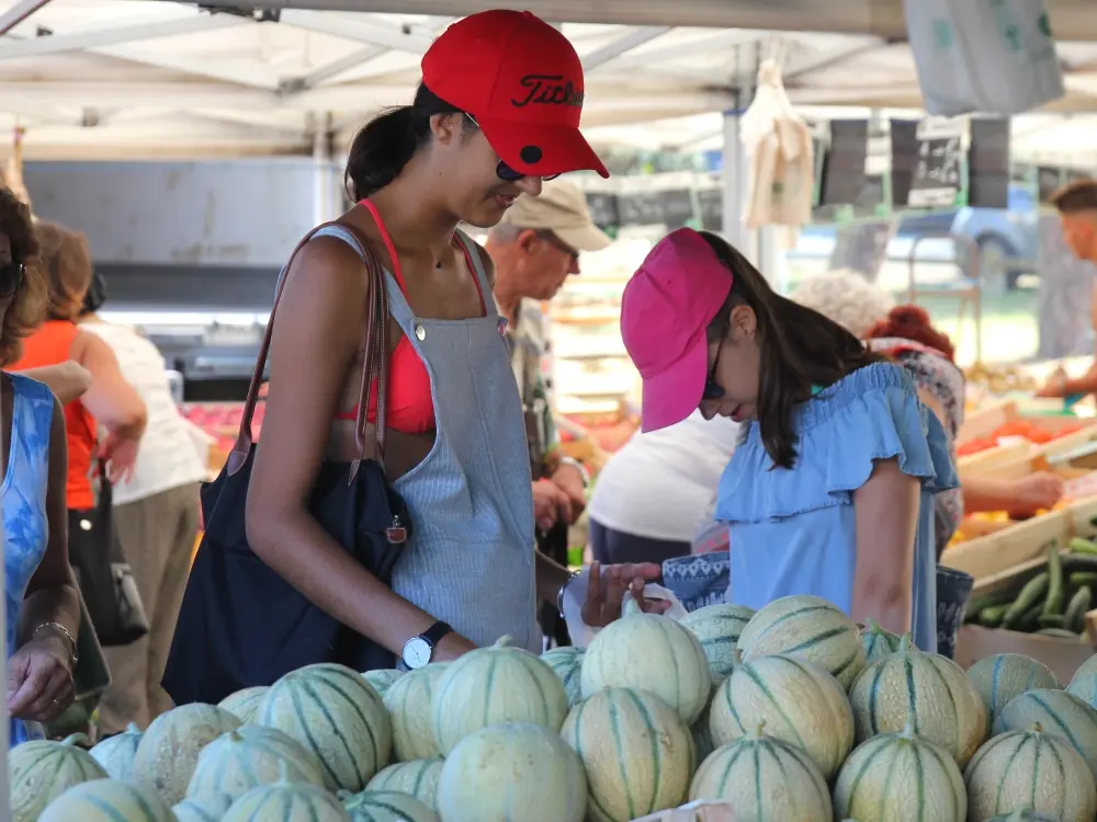 Marché saisonnier Seignosse