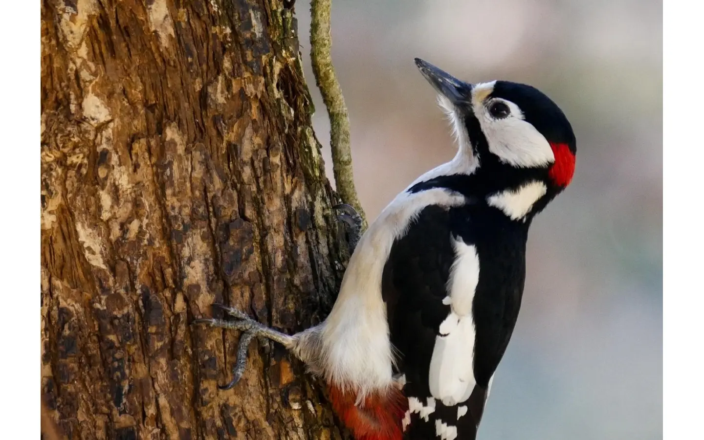 Atelier-mangeoire-2025-Paysage