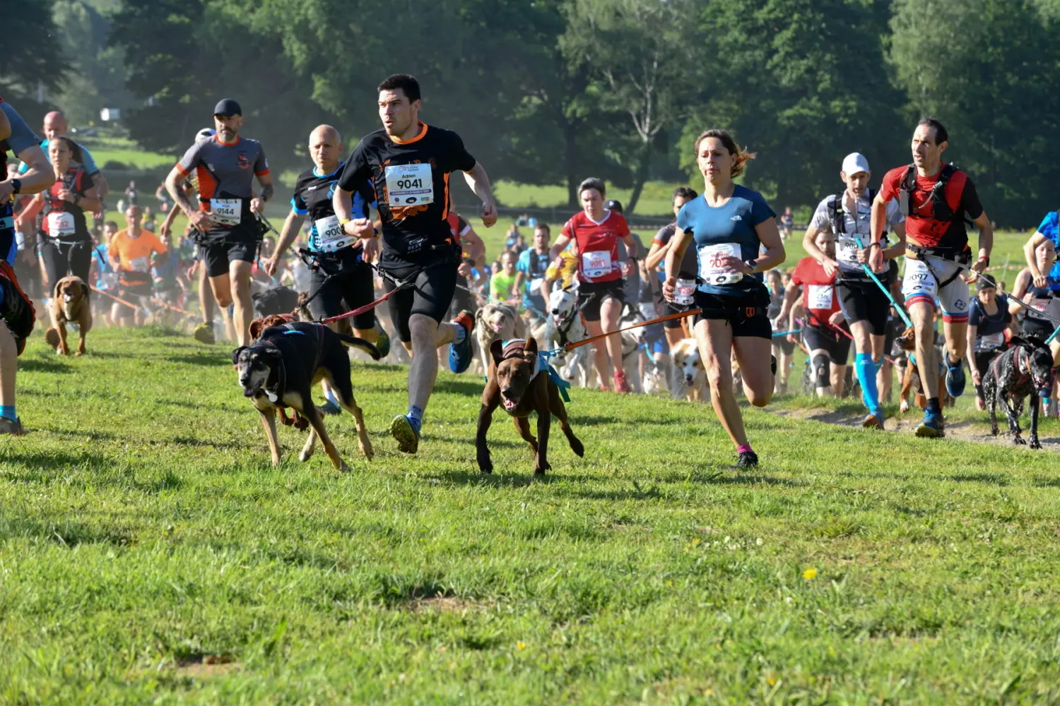 Les Gendarmes et les Voleurs de Temps