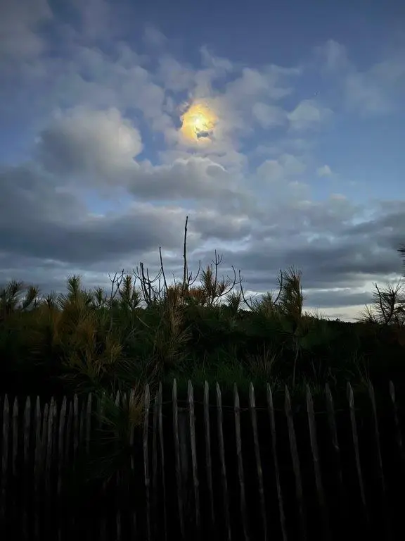 Photo vero nocturne 2