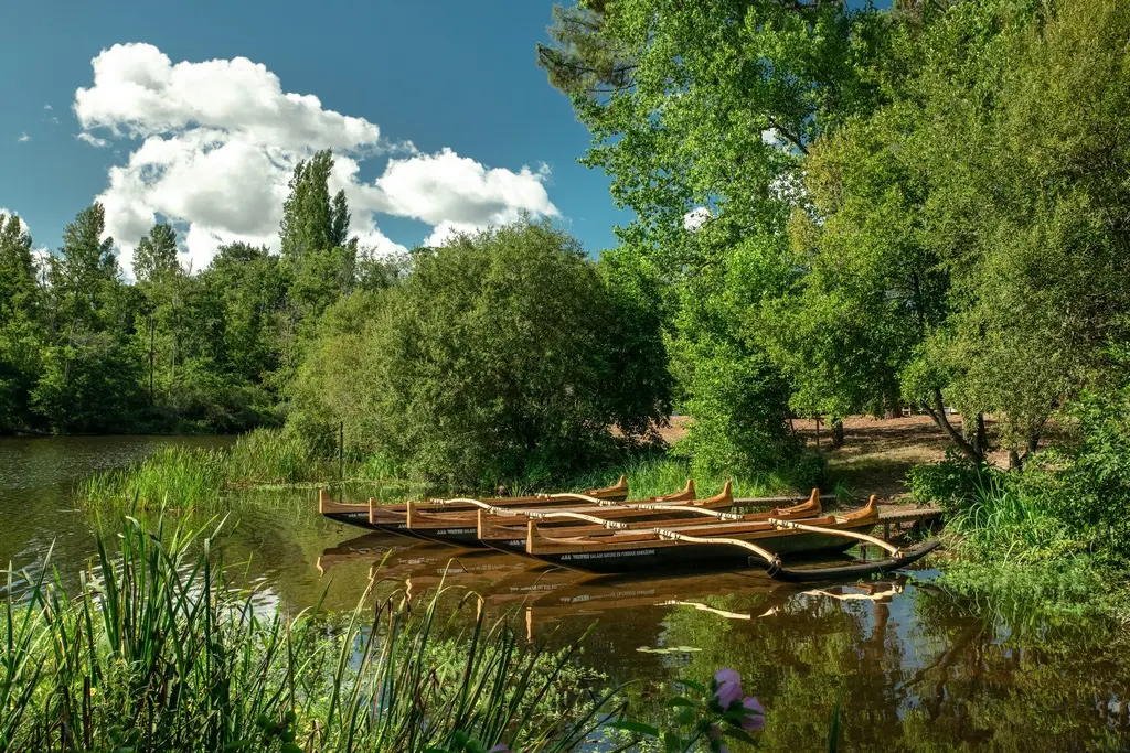 Pirogue-bien-etre-octobre-rose (Copier)