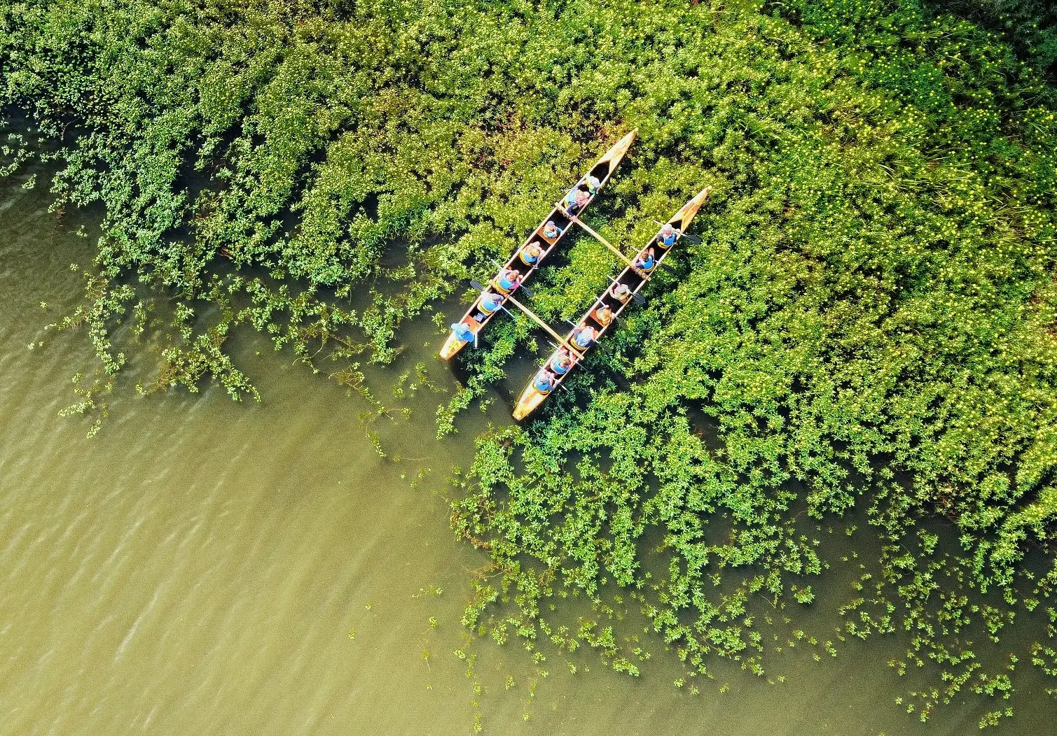 Pirogue de printemps