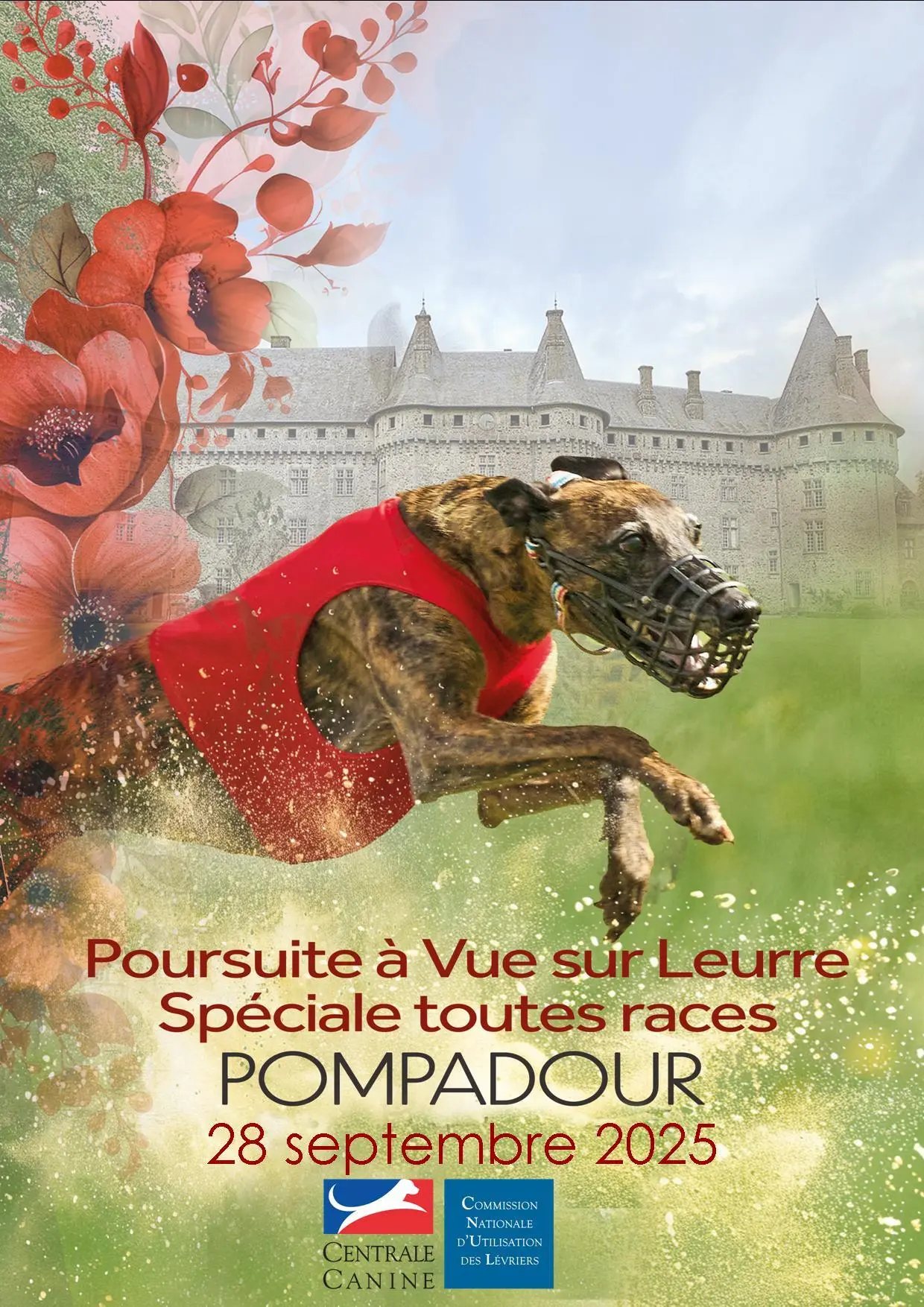 Pompadour Lévrier pvl 28 09 2025