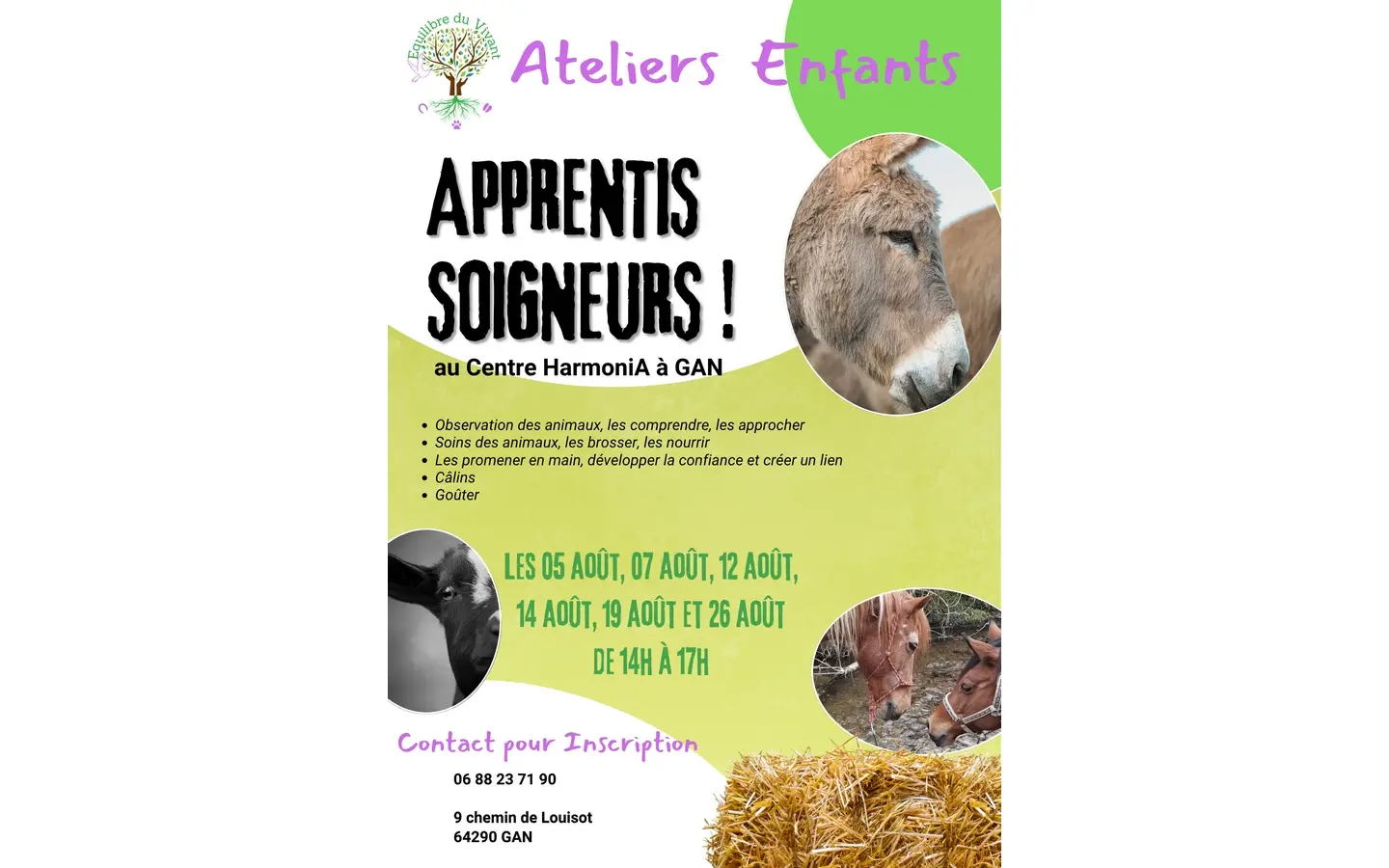 Sans titre 4