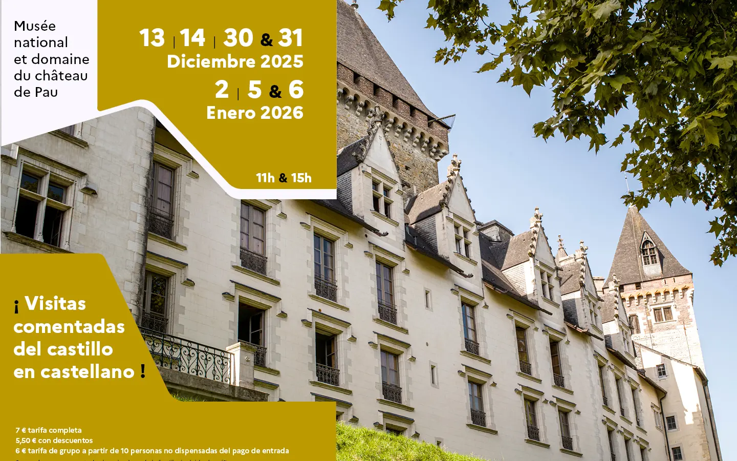 Site_internet_ Visites_en_espagnol_dec_2025