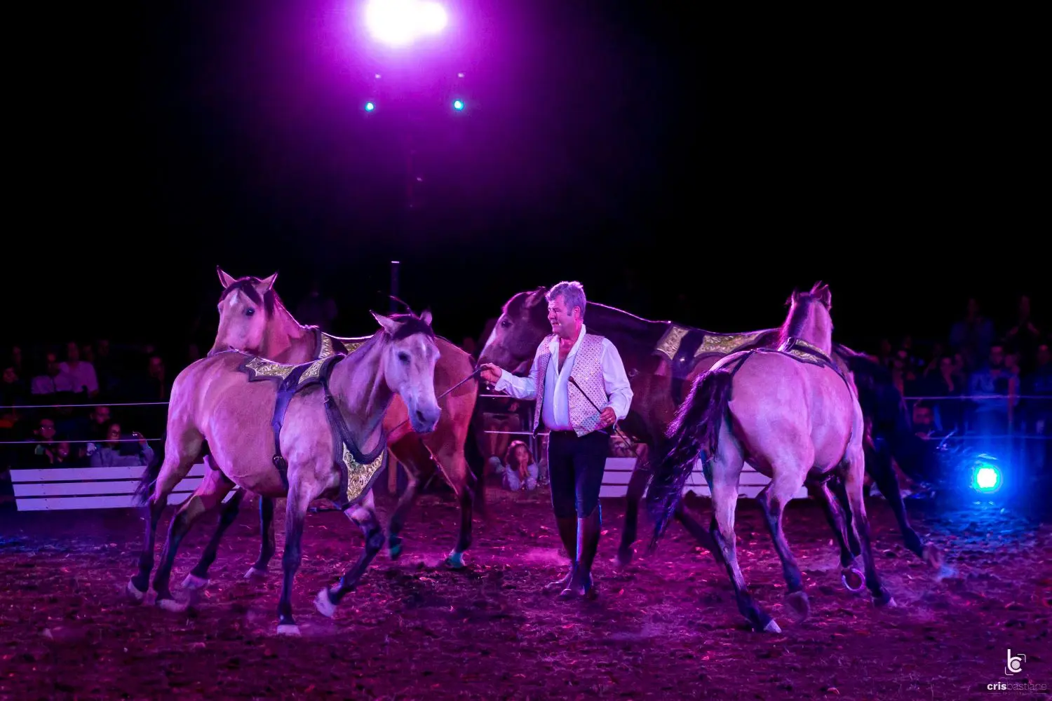 Spectacle équestre Hasta Luego terrasses - Pompadour ©Cris Bastiane - web (45)