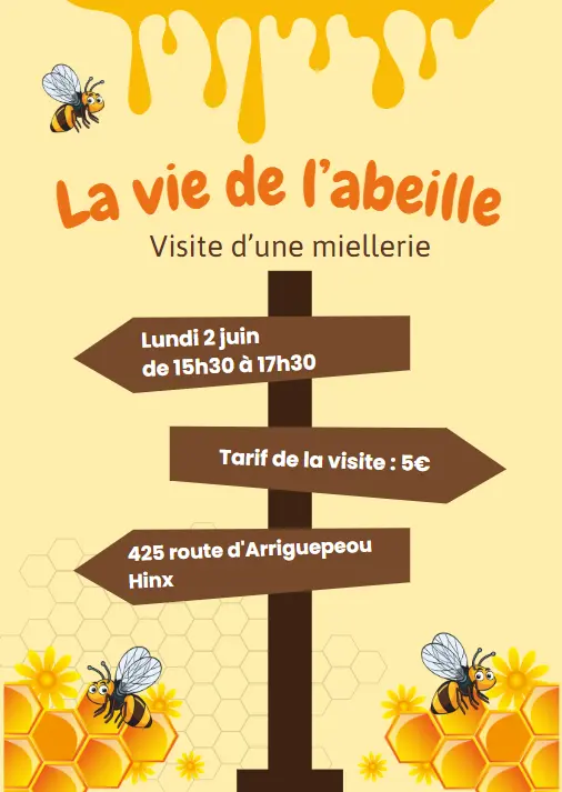 Visite miellerie Larronde 2 JUIN