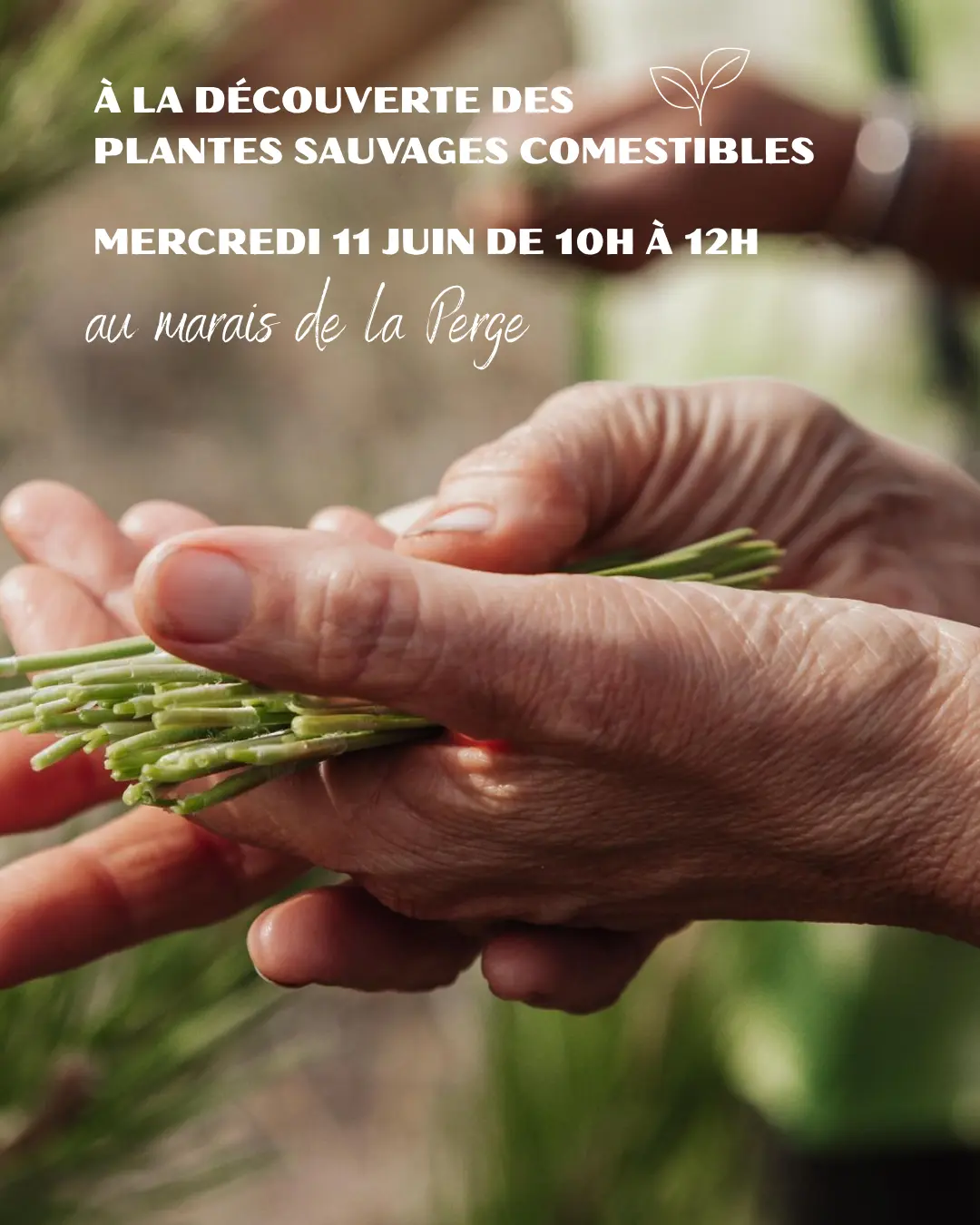 Votre texte de paragraphe - 2