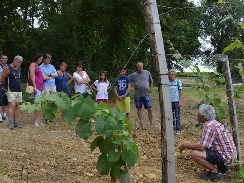 animations-siorac-Visite Vignoble