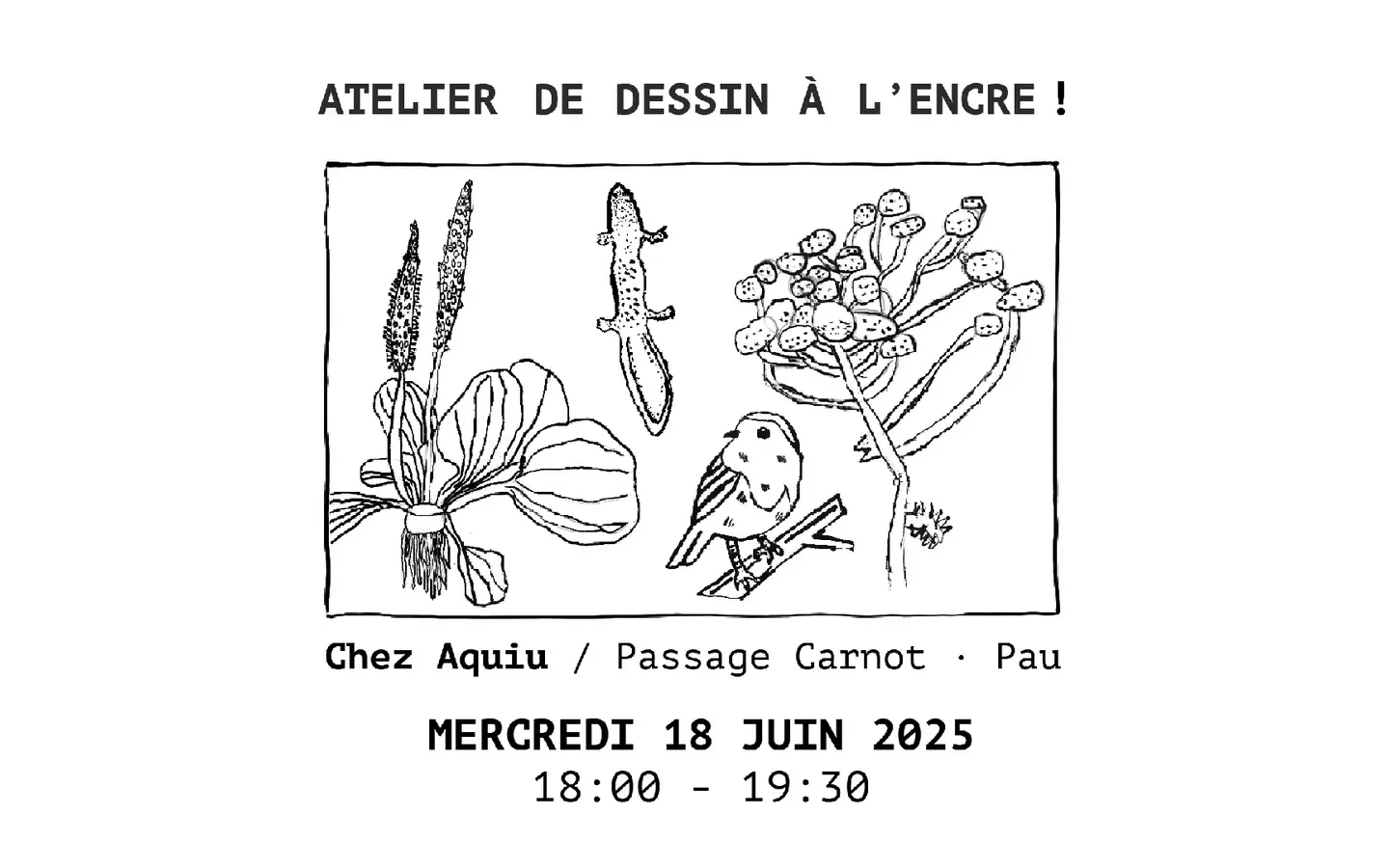 atelier dessin aquiu