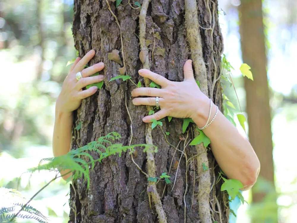 bain de foret