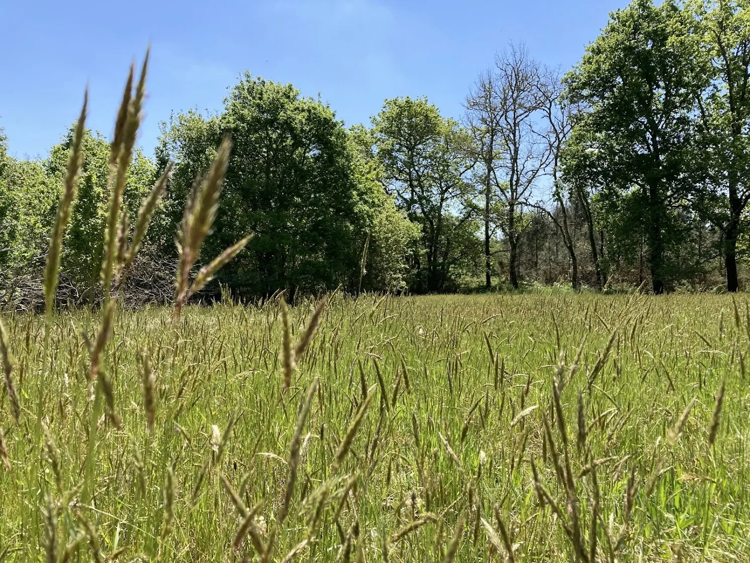 balade nature