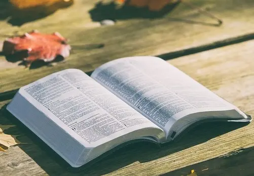 bible-g5b04b6a28_640